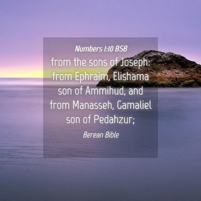 Picture 04 - Numbers 1:10 BSB - from the sons of Joseph: from Ephraim, Elishama - Bible Verse Picture