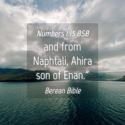 Picture 04 - Numbers 1:15 BSB - and from Naphtali, Ahira son of - Bible Verse Picture