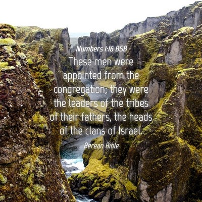 Picture 04 - Numbers 1:16 BSB - These men were appointed from the congregation; - Bible Verse Picture
