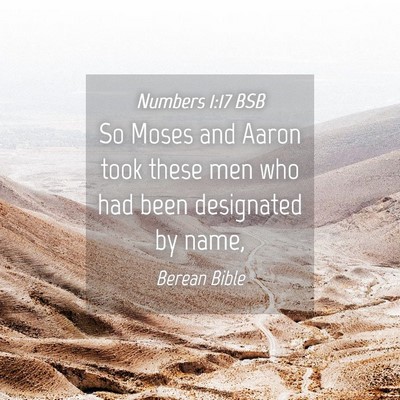Picture 04 - Numbers 1:17 BSB - So Moses and Aaron took these men who had been - Bible Verse Picture