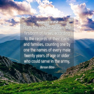Picture 04 - Numbers 1:20 BSB - From the sons of Reuben, the firstborn of Israel, - Bible Verse Picture