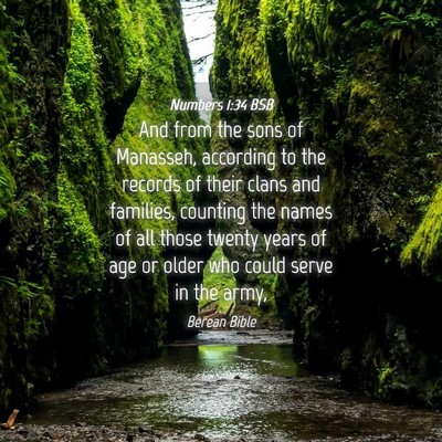 Picture 04 - Numbers 1:34 BSB - And from the sons of Manasseh, according to the - Bible Verse Picture