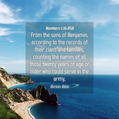 Picture 04 - Numbers 1:36 BSB - From the sons of Benjamin, according to the - Bible Verse Picture
