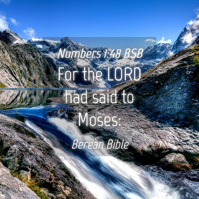 Picture 04 - Numbers 1:48 BSB - For the LORD had said to - Bible Verse Picture