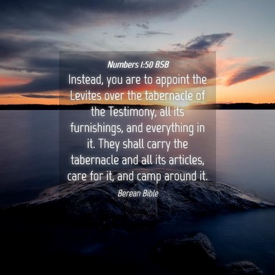 Picture 04 - Numbers 1:50 BSB - Instead, you are to appoint the Levites over the - Bible Verse Picture