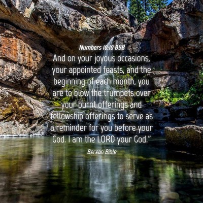 Picture 04 - Numbers 10:10 BSB - And on your joyous occasions, your appointed - Bible Verse Picture