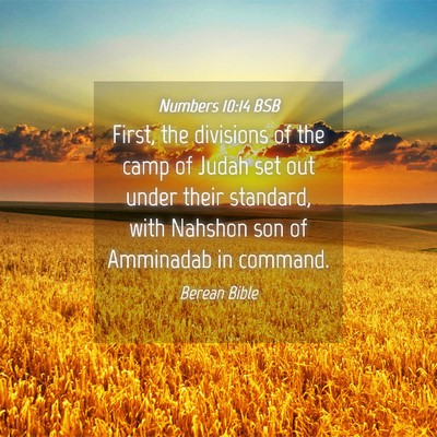 Picture 04 - Numbers 10:14 BSB - First, the divisions of the camp of Judah set out - Bible Verse Picture