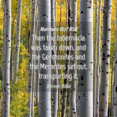 Picture 04 - Numbers 10:17 BSB - Then the tabernacle was taken down, and the - Bible Verse Picture