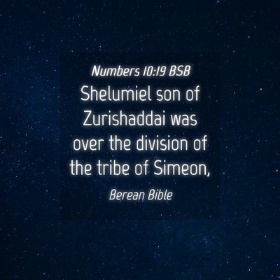 Picture 04 - Numbers 10:19 BSB - Shelumiel son of Zurishaddai was over the - Bible Verse Picture