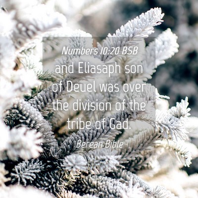 Picture 04 - Numbers 10:20 BSB - and Eliasaph son of Deuel was over the division - Bible Verse Picture