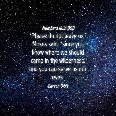 Picture 04 - Numbers 10:31 BSB - “Please do not leave us,” Moses said, - Bible Verse Picture