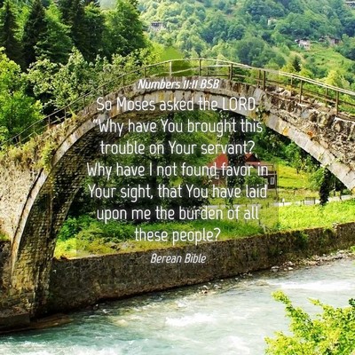 Picture 04 - Numbers 11:11 BSB - So Moses asked the LORD, “Why have You brought - Bible Verse Picture