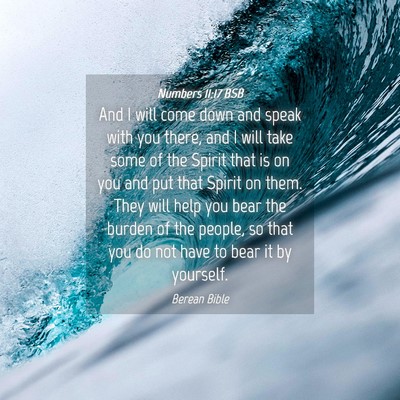 Picture 04 - Numbers 11:17 BSB - And I will come down and speak with you there, - Bible Verse Picture
