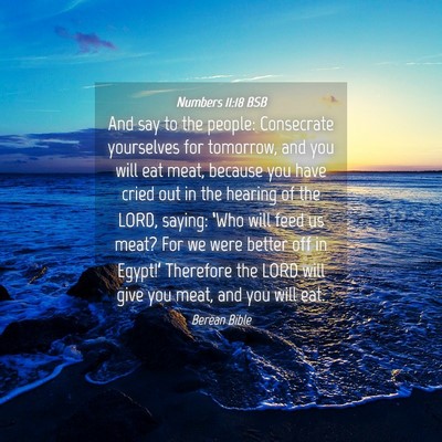 Picture 04 - Numbers 11:18 BSB - And say to the people: Consecrate yourselves for - Bible Verse Picture