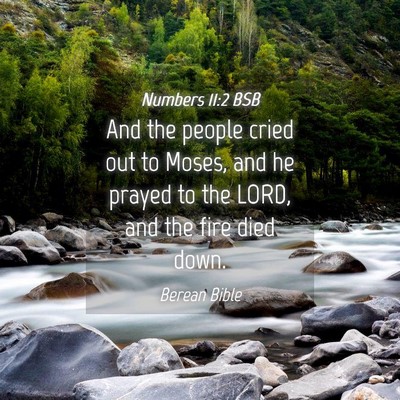 Picture 04 - Numbers 11:2 BSB - And the people cried out to Moses, and he prayed - Bible Verse Picture