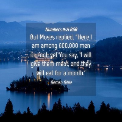Picture 04 - Numbers 11:21 BSB - But Moses replied, “Here I am among 600,000 men - Bible Verse Picture