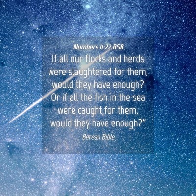Picture 04 - Numbers 11:22 BSB - If all our flocks and herds were slaughtered for - Bible Verse Picture