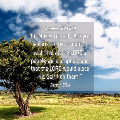Picture 04 - Numbers 11:29 BSB - But Moses replied, “Are you jealous on my - Bible Verse Picture