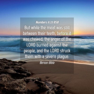 Picture 04 - Numbers 11:33 BSB - But while the meat was still between their teeth, - Bible Verse Picture