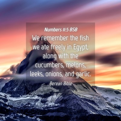 Picture 04 - Numbers 11:5 BSB - We remember the fish we ate freely in Egypt, - Bible Verse Picture