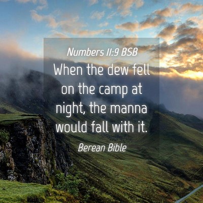 Picture 04 - Numbers 11:9 BSB - When the dew fell on the camp at night, the manna - Bible Verse Picture