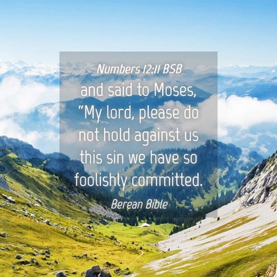 Picture 04 - Numbers 12:11 BSB - and said to Moses, “My lord, please do not hold - Bible Verse Picture