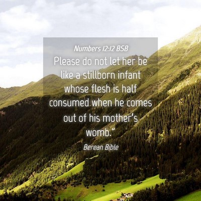 Picture 04 - Numbers 12:12 BSB - Please do not let her be like a stillborn infant - Bible Verse Picture