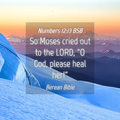 Picture 04 - Numbers 12:13 BSB - So Moses cried out to the LORD, “O God, please - Bible Verse Picture