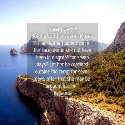 Picture 04 - Numbers 12:14 BSB - But the LORD answered Moses, “If her father had - Bible Verse Picture