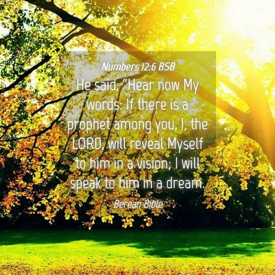 Picture 04 - Numbers 12:6 BSB - He said, “Hear now My words: If there is a - Bible Verse Picture