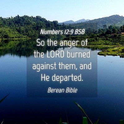Picture 04 - Numbers 12:9 BSB - So the anger of the LORD burned against them, and - Bible Verse Picture