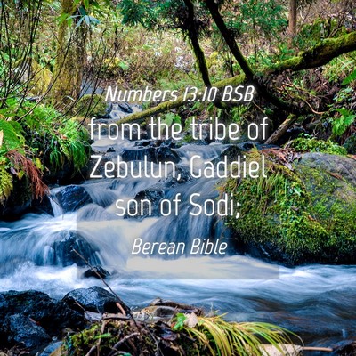 Picture 04 - Numbers 13:10 BSB - from the tribe of Zebulun, Gaddiel son of - Bible Verse Picture