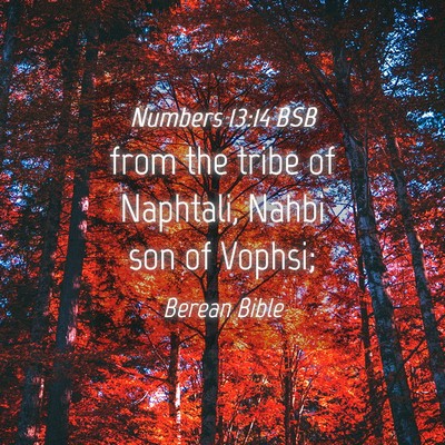 Picture 04 - Numbers 13:14 BSB - from the tribe of Naphtali, Nahbi son of - Bible Verse Picture