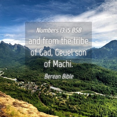 Picture 04 - Numbers 13:15 BSB - and from the tribe of Gad, Geuel son of - Bible Verse Picture