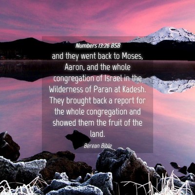 Picture 04 - Numbers 13:26 BSB - and they went back to Moses, Aaron, and the whole - Bible Verse Picture