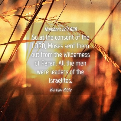 Picture 04 - Numbers 13:3 BSB - So at the consent of the LORD, Moses sent them - Bible Verse Picture