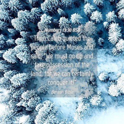 Picture 04 - Numbers 13:30 BSB - Then Caleb quieted the people before Moses and - Bible Verse Picture
