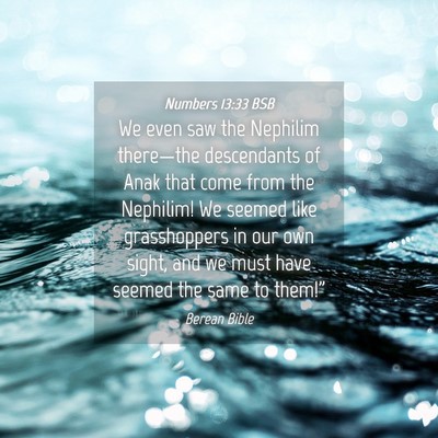 Picture 04 - Numbers 13:33 BSB - We even saw the Nephilim there—the descendants - Bible Verse Picture
