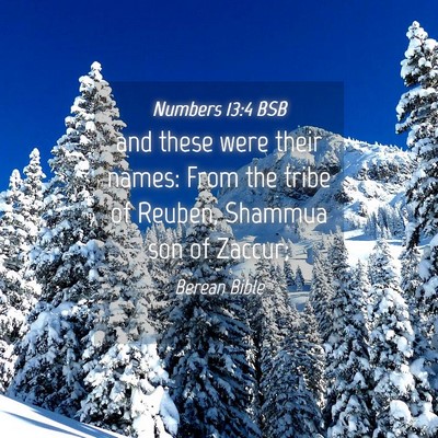 Picture 04 - Numbers 13:4 BSB - and these were their names: From the tribe of - Bible Verse Picture