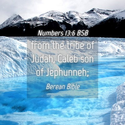 Picture 04 - Numbers 13:6 BSB - from the tribe of Judah, Caleb son of - Bible Verse Picture