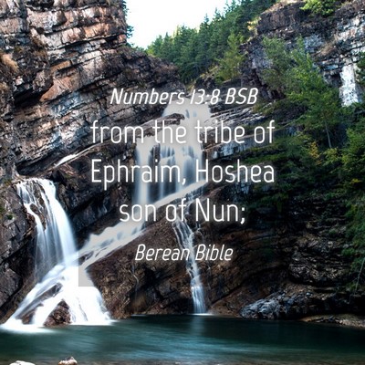 Picture 04 - Numbers 13:8 BSB - from the tribe of Ephraim, Hoshea son of - Bible Verse Picture