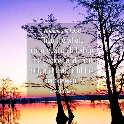 Picture 04 - Numbers 14:1 BSB - Then the whole congregation lifted up their - Bible Verse Picture