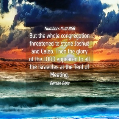 Picture 04 - Numbers 14:10 BSB - But the whole congregation threatened to stone - Bible Verse Picture