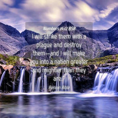 Picture 04 - Numbers 14:12 BSB - I will strike them with a plague and destroy - Bible Verse Picture