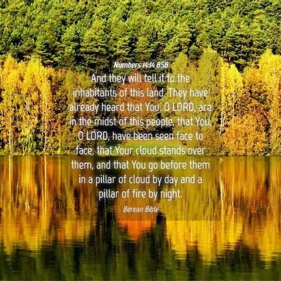 Picture 04 - Numbers 14:14 BSB - And they will tell it to the inhabitants of this - Bible Verse Picture