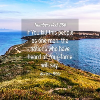 Picture 04 - Numbers 14:15 BSB - If You kill this people as one man, the nations - Bible Verse Picture