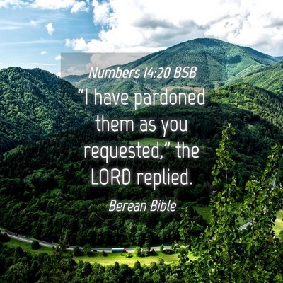 Picture 04 - Numbers 14:20 BSB - “I have pardoned them as you requested,” the - Bible Verse Picture