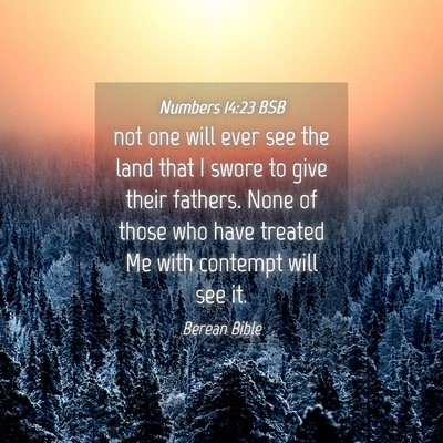 Picture 04 - Numbers 14:23 BSB - not one will ever see the land that I swore to - Bible Verse Picture