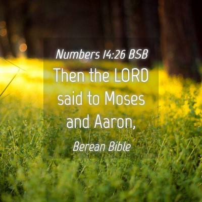Picture 04 - Numbers 14:26 BSB - Then the LORD said to Moses and - Bible Verse Picture