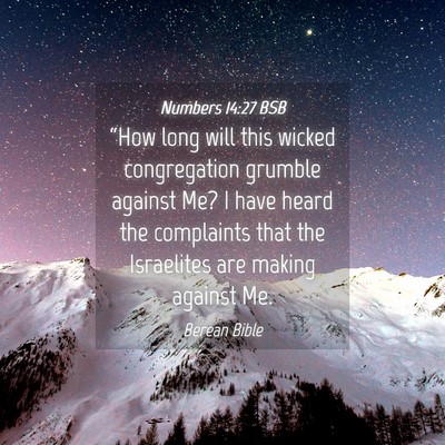 Picture 04 - Numbers 14:27 BSB - “How long will this wicked congregation grumble - Bible Verse Picture